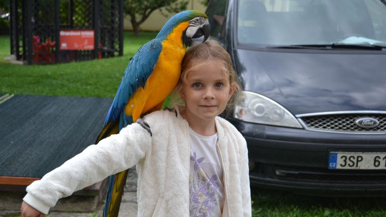 DSC_5489.JPG DSC_5489.JPG