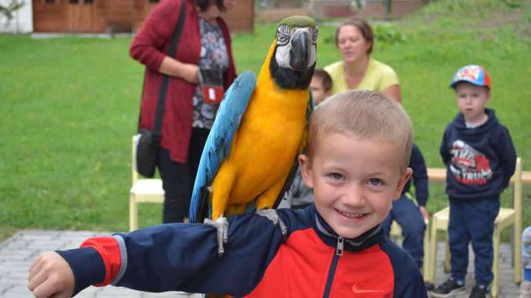 DSC_5526.JPG DSC_5526.JPG