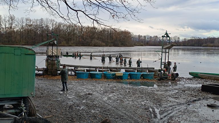 IMG_20241128_104808.jpg