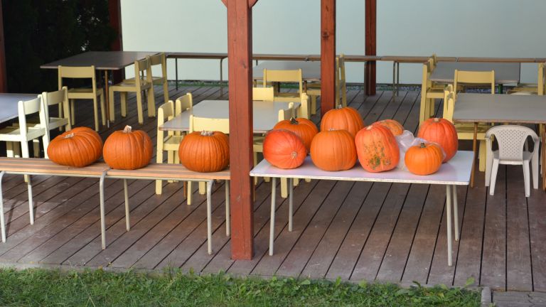 14.10. 2025 Dlabání dýní s rodiči